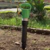 Picador g10