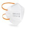 Respirador n95 in 10121 in-safe
